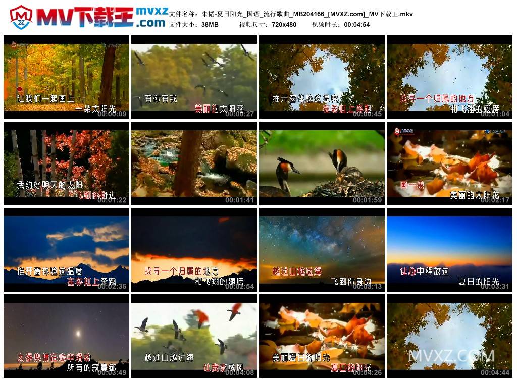 朱韬-夏日阳光_国语_流行歌曲_MB204166